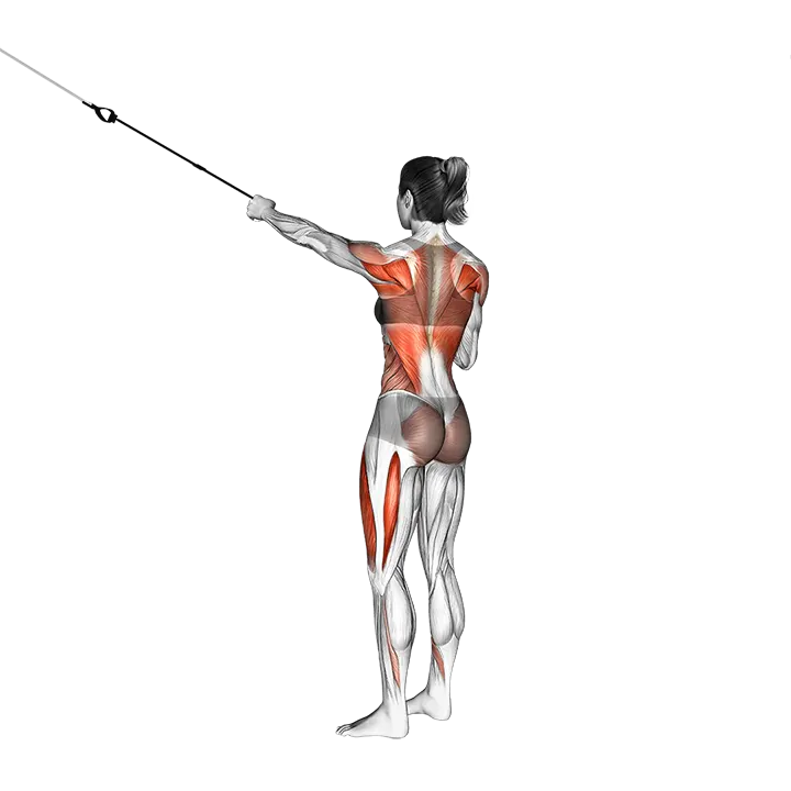 Suspension Squat Power Pull exercise animation (Female)