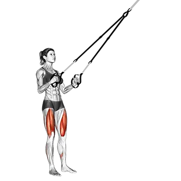 Suspension Squat