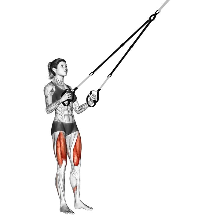 Suspension Squat exercise animation (Female)