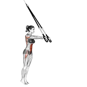Suspension Standing Ab Rollout