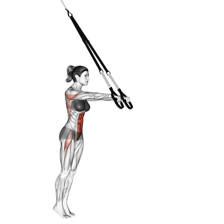 Suspension Standing Ab Rollout exercise animation (Female)