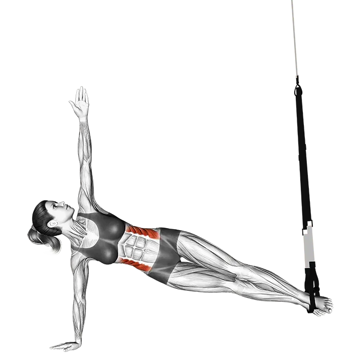 Suspension Star Plank exercise animation (Female)