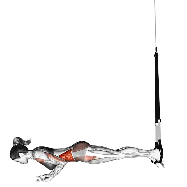 Suspension Star Push-up exercise animation (Female)