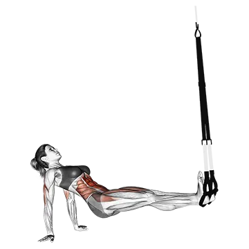Suspension Supine Crunch
