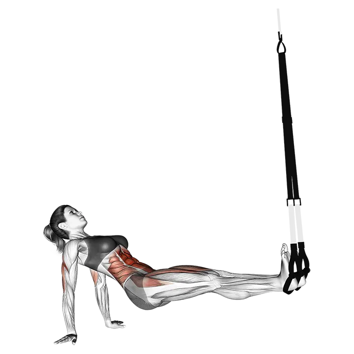 Suspension Supine Crunch exercise animation (Female)