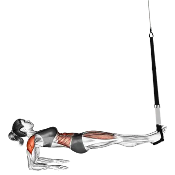 Suspension Supine Plank