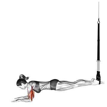 Suspension Triceps Extension Push-up