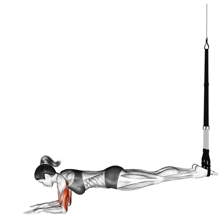 Suspension Triceps Extension Push-up exercise animation (Female)