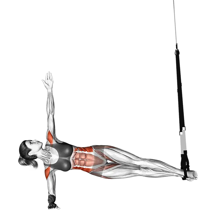 Suspension Twist Side exercise animation (Female)