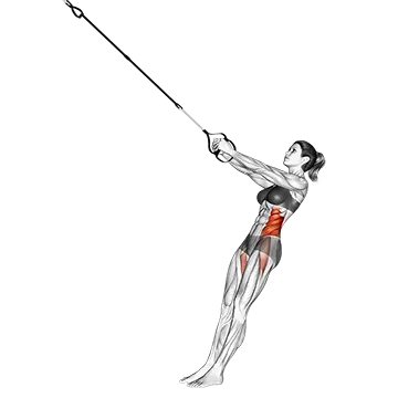 Suspension Twist-Up