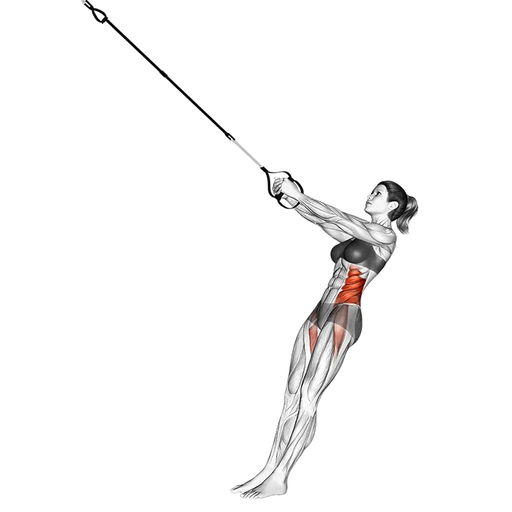 Suspension Twist-Up exercise animation (Female)