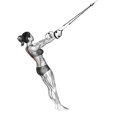Suspension Upper Back Stretch