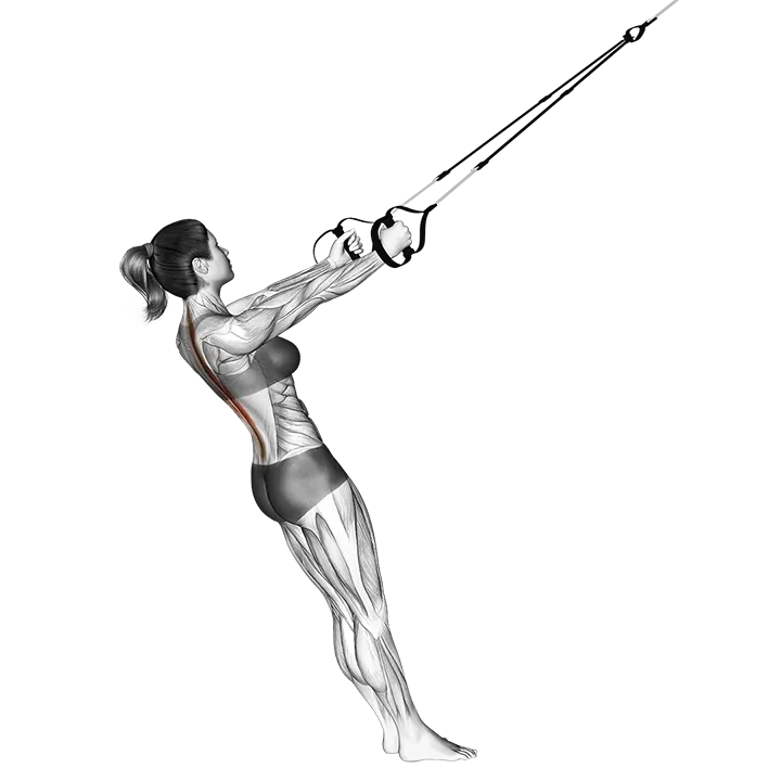 Suspension Upper Back Stretch exercise animation (Female)