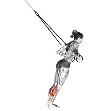 Suspension Calf Raise