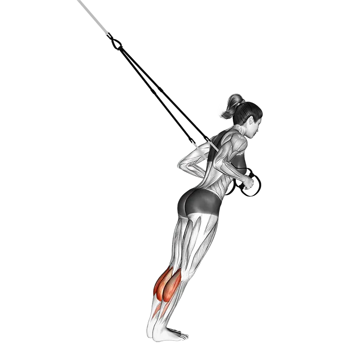 Suspension Calf Raise exercise animation (Female)