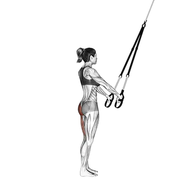 Suspension Single Leg Deadlift