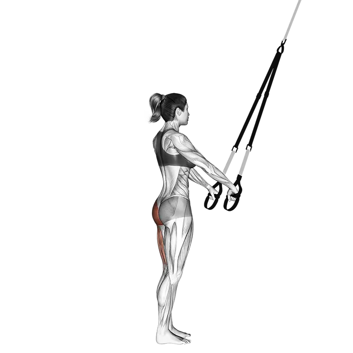 Suspension Single Leg Deadlift exercise animation (Female)