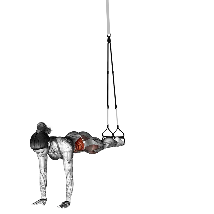 Suspension Pendulum exercise animation (Female)