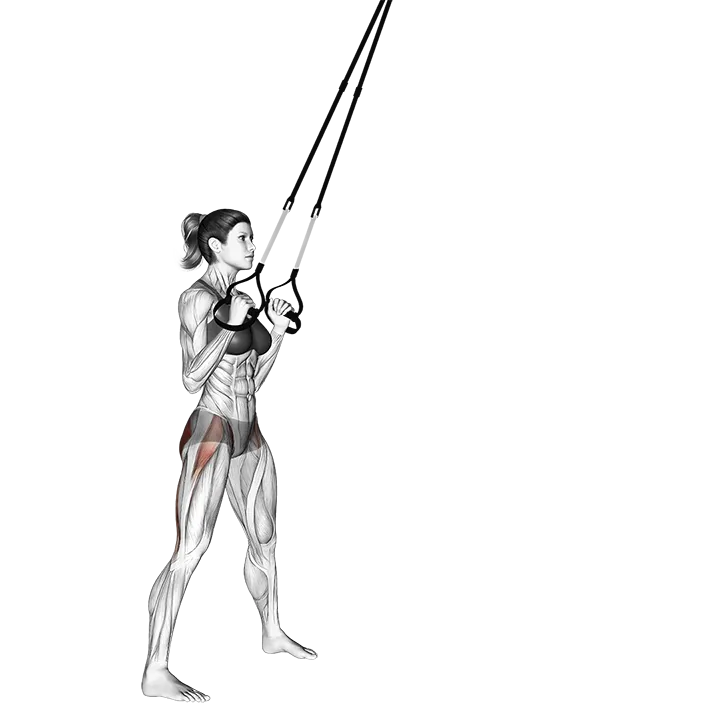 Suspension Hip Hinge exercise animation (Female)