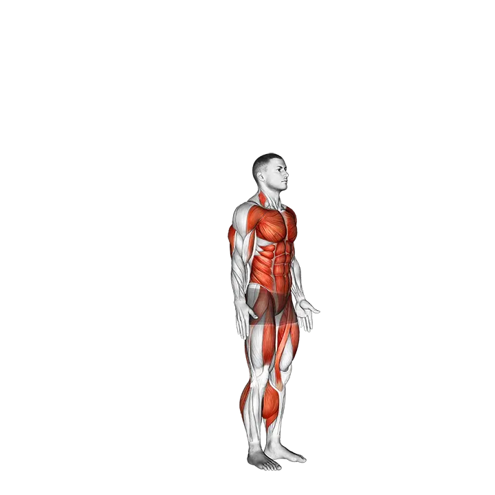 Burpee exercise animation (Male)