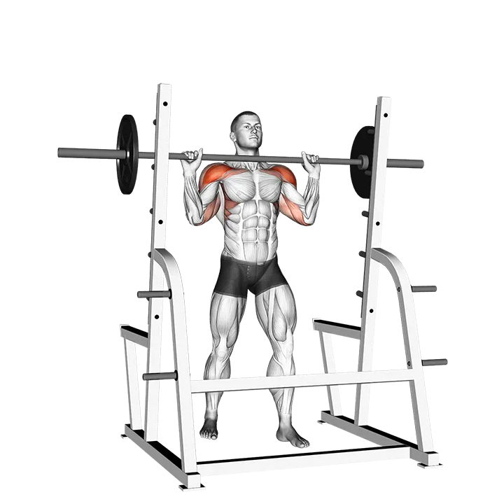 Barbell Standing Military Press exercise animation (Male)