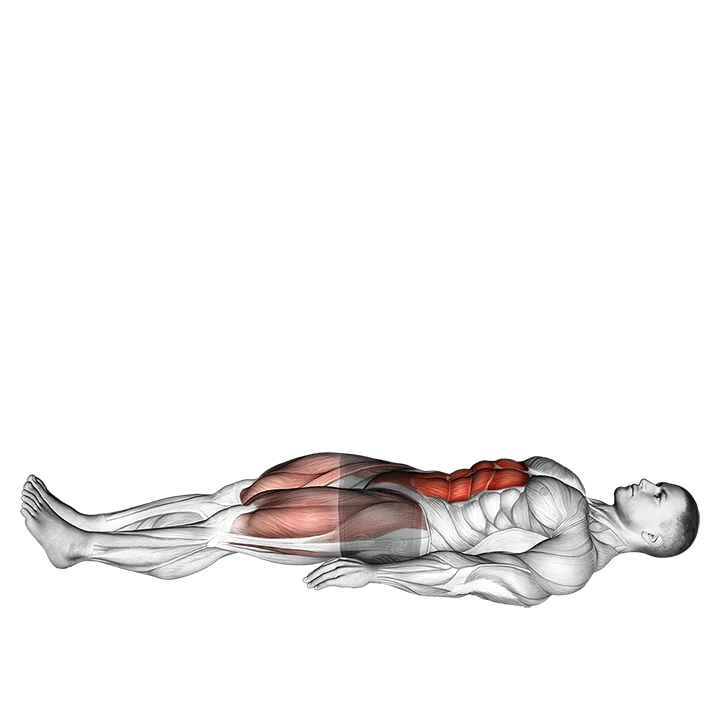Lying Leg Raise exercise animation (Male)