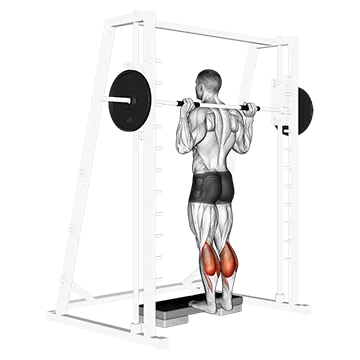 Smith Calf Raise (version 2)