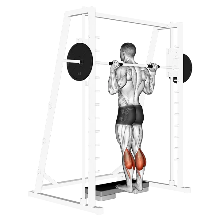 Smith Calf Raise (version 2) exercise animation (Male)