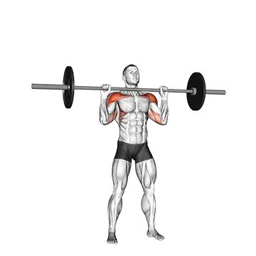 Barbell Standing Military Press (without rack)