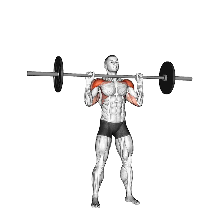 Barbell Standing Military Press (without rack) exercise animation (Male)