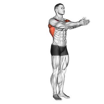 Dynamic Chest Stretch