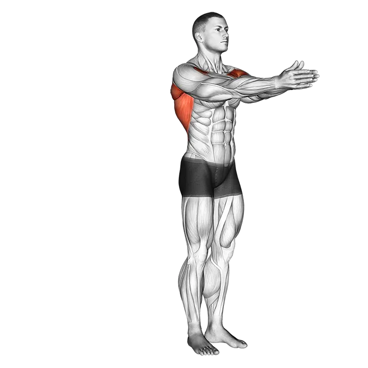 Dynamic Chest Stretch exercise animation (Male)