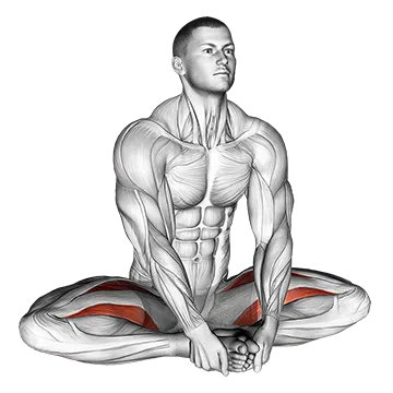 Seated Groin Stretch