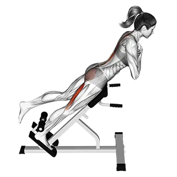 45 degree one leg hyperextension (arms in front of chest)