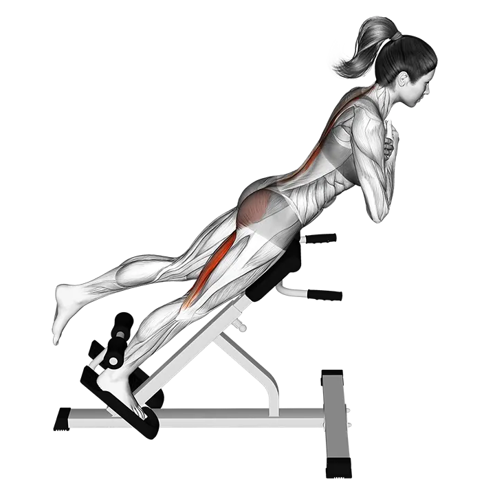 45 degree one leg hyperextension (arms in front of chest) exercise animation (Female)