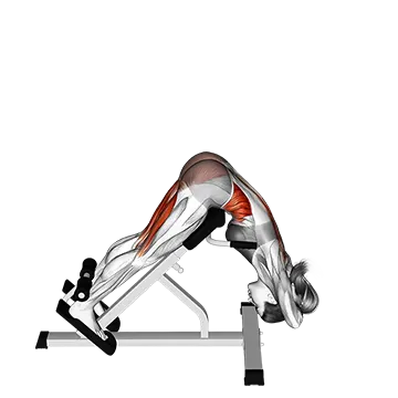 45 degree twisting hyperextension