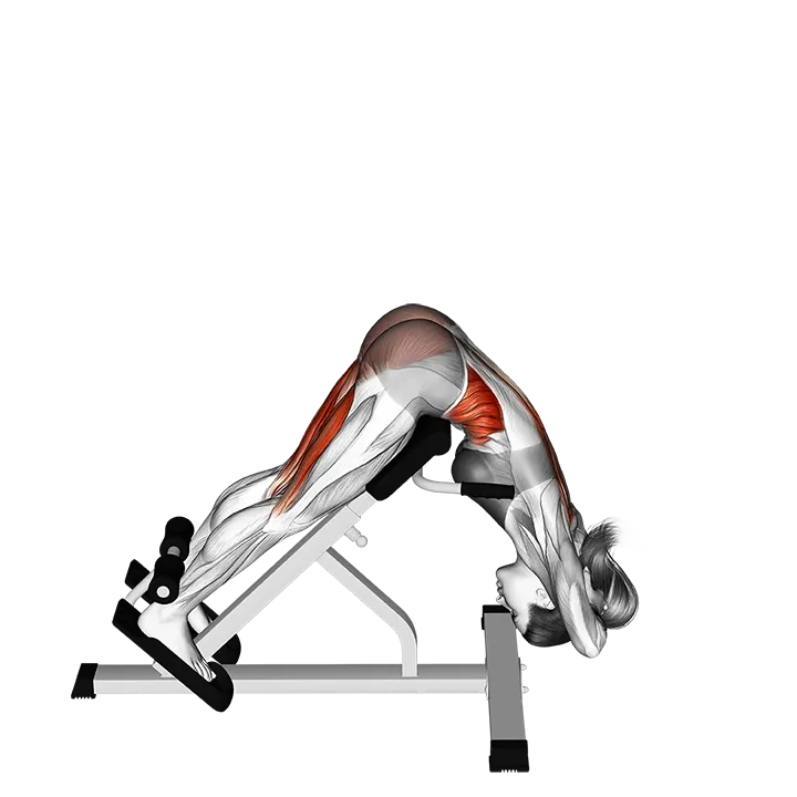 45 degree twisting hyperextension exercise animation (Female)