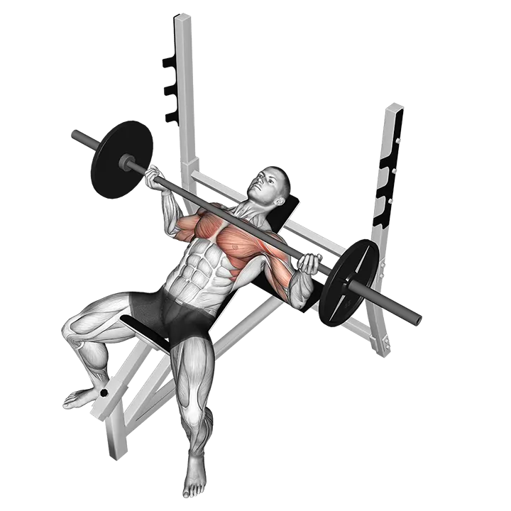 Barbell Incline Wide Reverse-grip Bench Press exercise animation (Hombre)