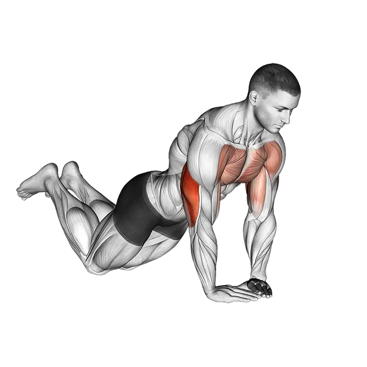 Diamond Push-up (on knees) exercise animation (Male)
