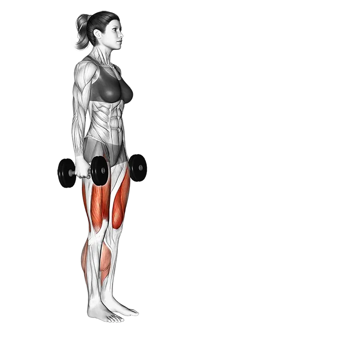 Dumbbell forward leaning lunge exercise animation (Female)