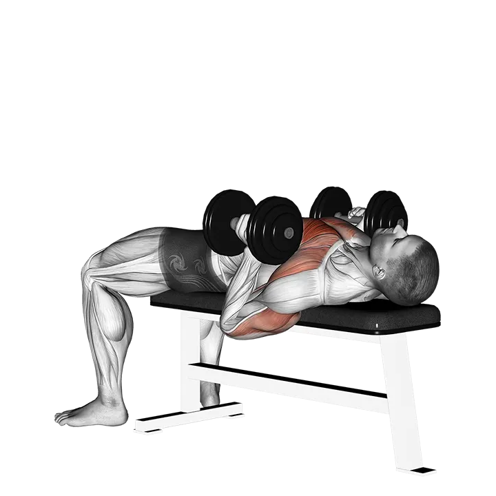 Dumbbell Lying Hammer Press (version 2) exercise animation (Male)