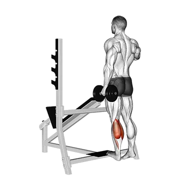 Dumbbell Standing Single Leg Calf Raise