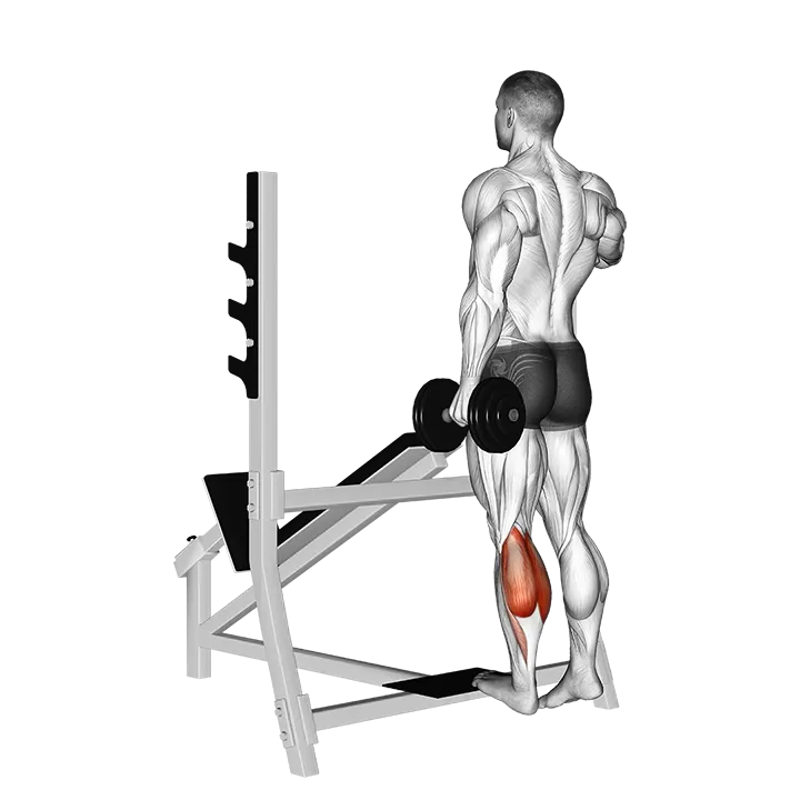 Dumbbell Standing Single Leg Calf Raise exercise animation (Hombre)