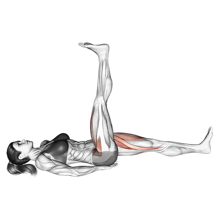 Lying Simultaneous Alternating Straight Leg Raise exercise animation (Mujer)