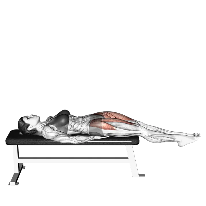 Lying Straight Leg Raise (version 2) exercise animation (Female)
