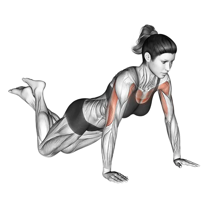 Push-up (on knees) exercise animation (Female)