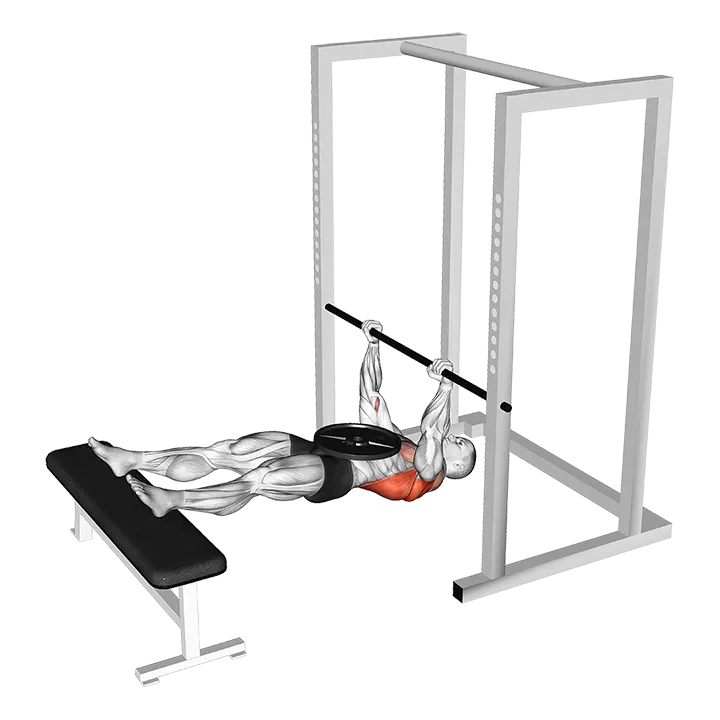 Weighted Inverted Row exercise animation (Male)
