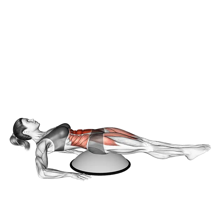Alternate Straight Leg Raise (on bosu ball) exercise animation (Female)