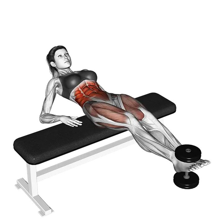 Weighted Twisting Crunch (on bench) exercise animation (Weiblich)