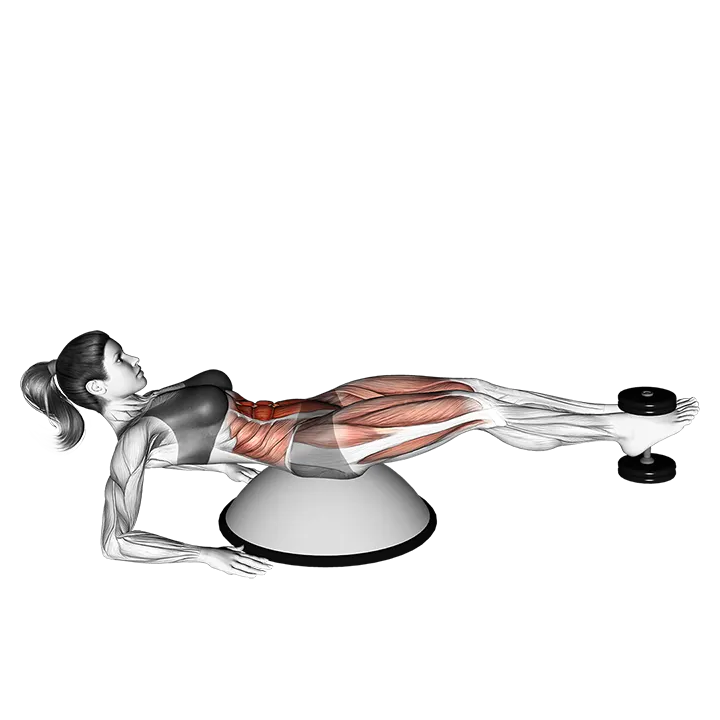 Weighted V-Crunch (on bosu ball) exercise animation (Female)